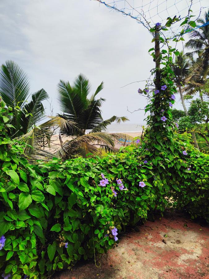 Beachaholic Homestay Alappuzha Exterior photo