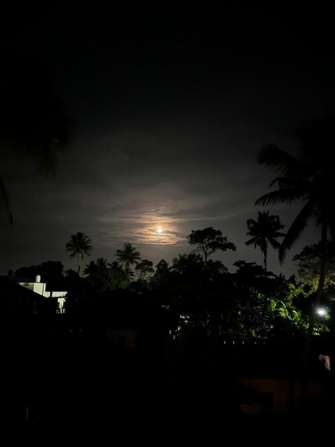 Beachaholic Homestay Alappuzha Exterior photo